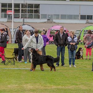 IMG_2201