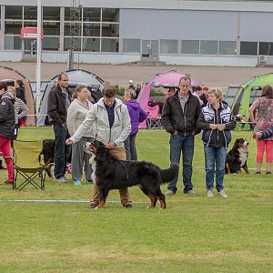 IMG_2202