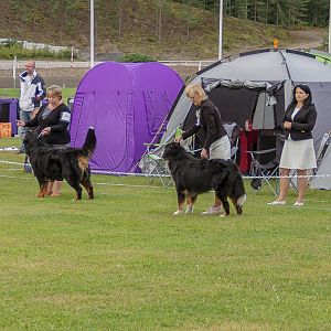 IMG_2217