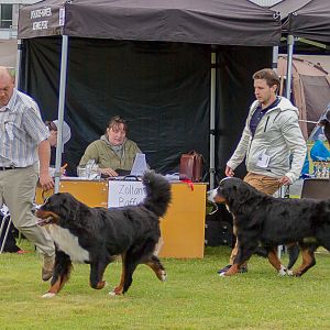 IMG_2232