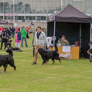 IMG_2236