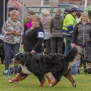 IMG_2259