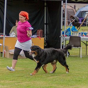 IMG_2271