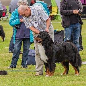IMG_2377