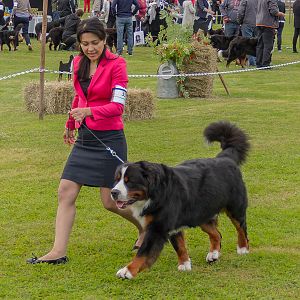 IMG_2425