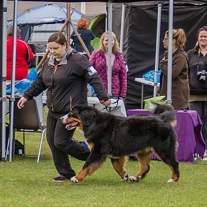 IMG_2444
