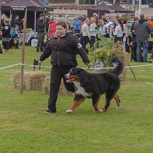 IMG_2450