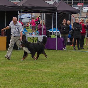 IMG_2467