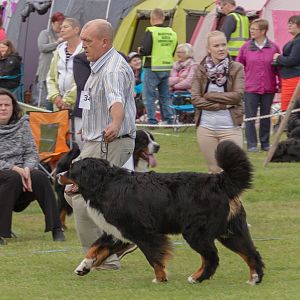 IMG_2477