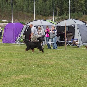 IMG_2523