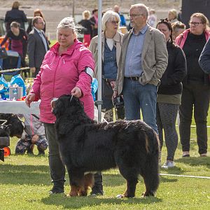 IMG_2582