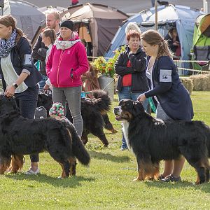 IMG_2585
