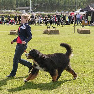 IMG_2606
