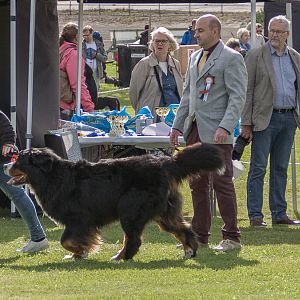 IMG_2614