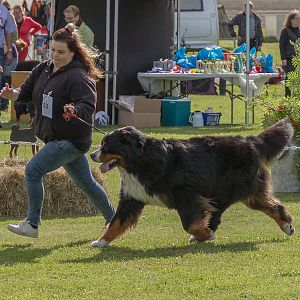 IMG_2619