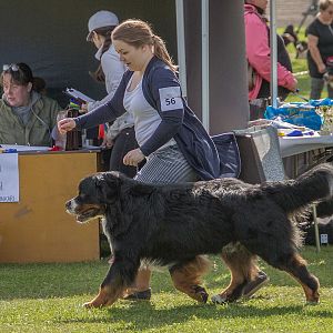 IMG_2625