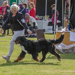 IMG_2643