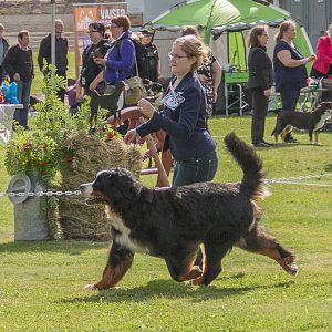 IMG_2657