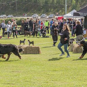 IMG_2684