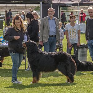 IMG_2702
