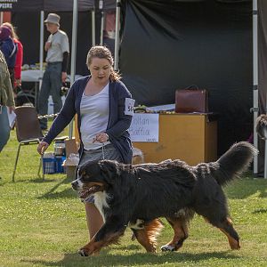 IMG_2722