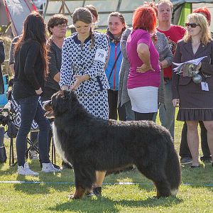 IMG_2854