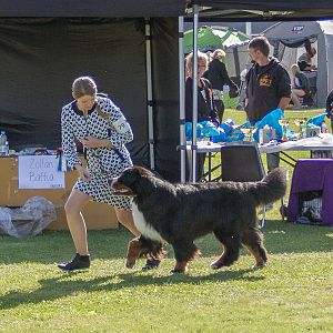 IMG_2906