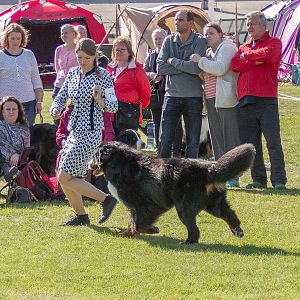 IMG_2922