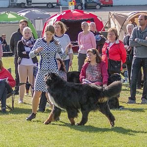 IMG_2925