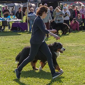 IMG_2938