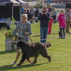 IMG_2951