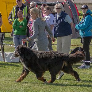 IMG_2969