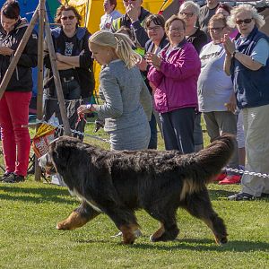 IMG_3063