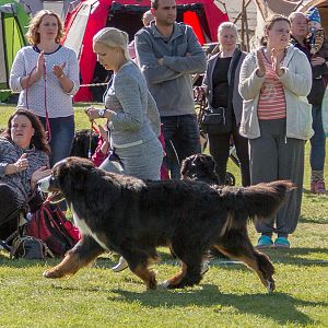 IMG_3071