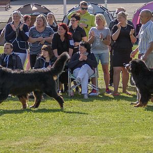 IMG_3081