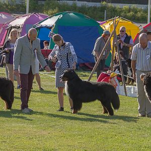 IMG_3197