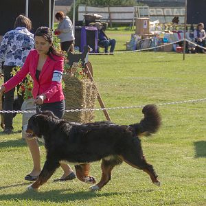 IMG_3216