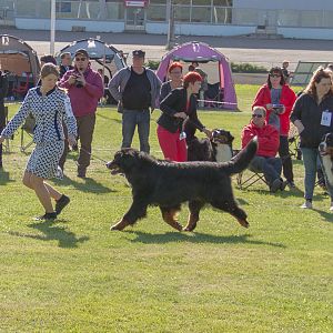 IMG_3227