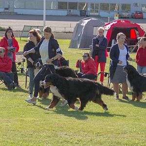 IMG_3234