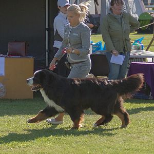 IMG_3237