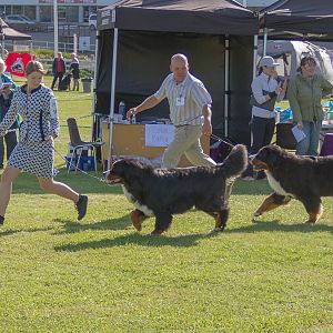 IMG_3245
