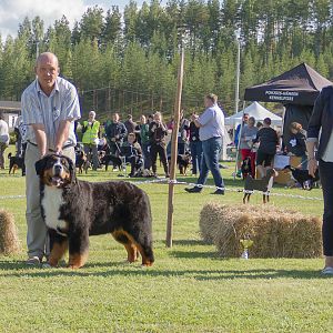 IMG_3302