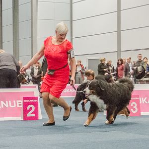 IMG_5292