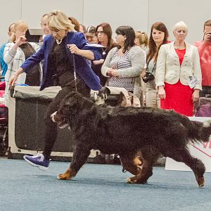 IMG_5256