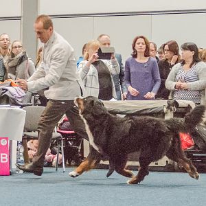 IMG_5254