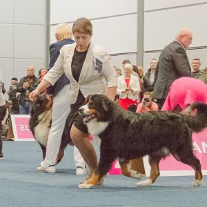 IMG_5213