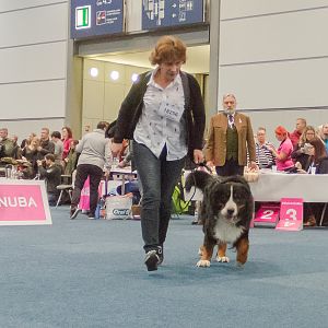 IMG_5201