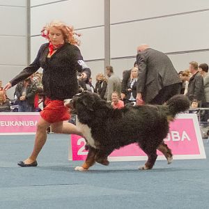 IMG_5182