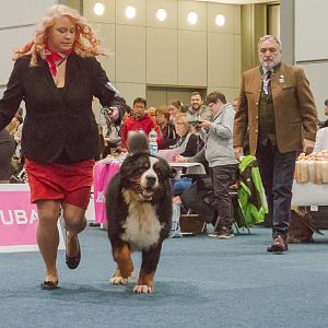 IMG_5177