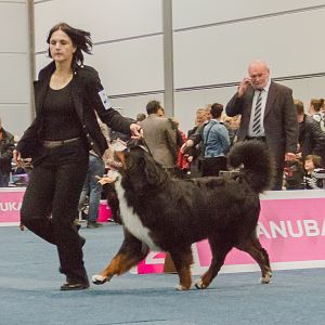 IMG_5057